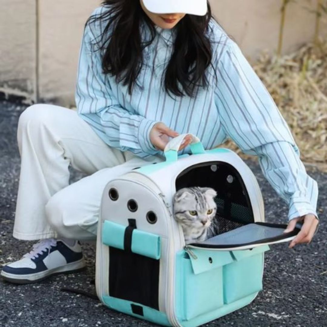 sac-de-transport-chat-ouverture