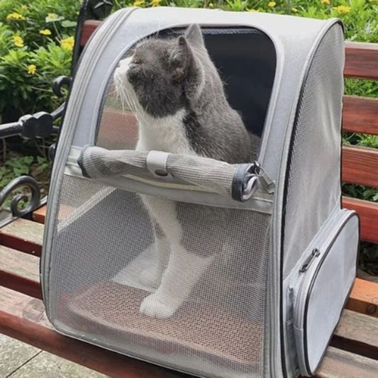 sac-de-transport-pour-chat-banc