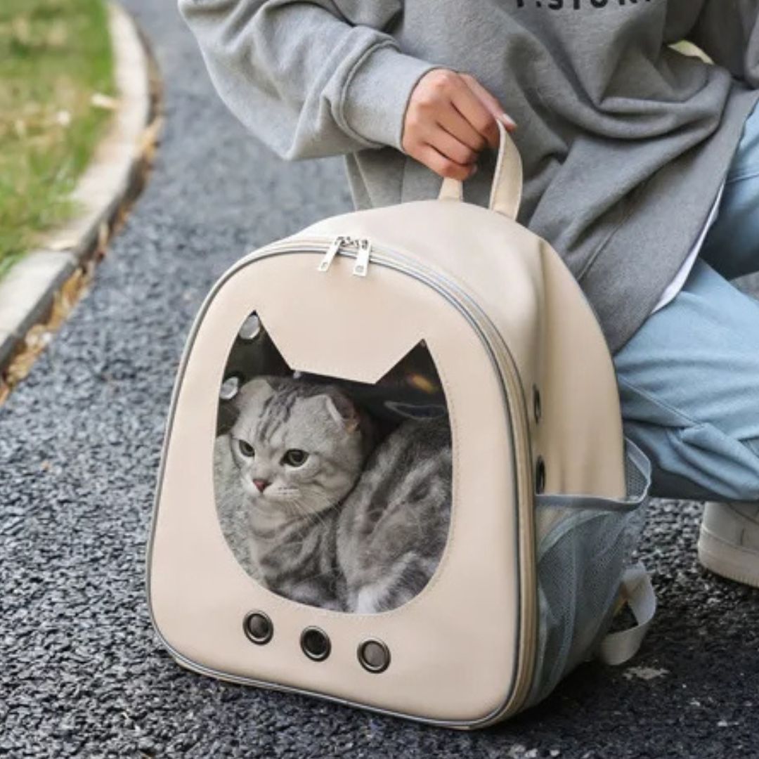 sac-de-transport-pour-chat-beige