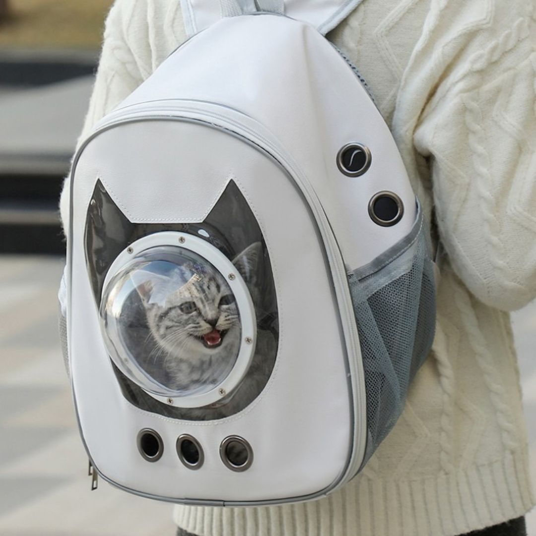 sac-de-transport-pour-chat-dos