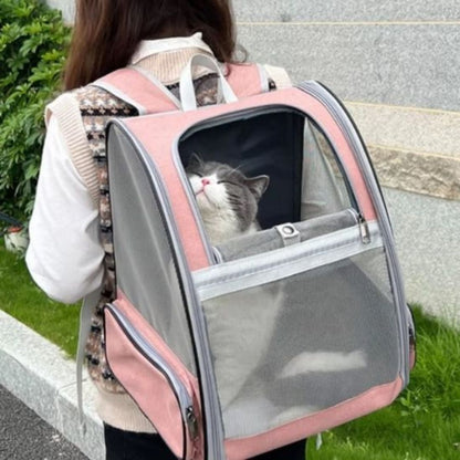 sac-de-transport-pour-chat-heureux