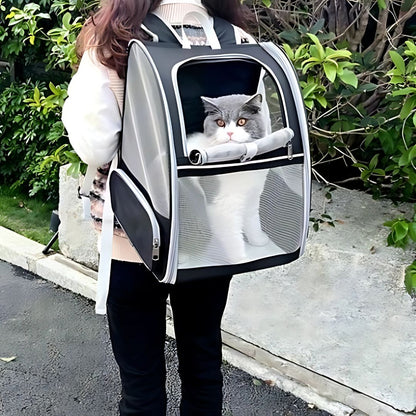 sac-de-transport-pour-chat-marche