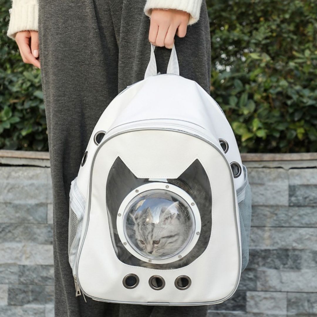 sac-de-transport-pour-chat-portee