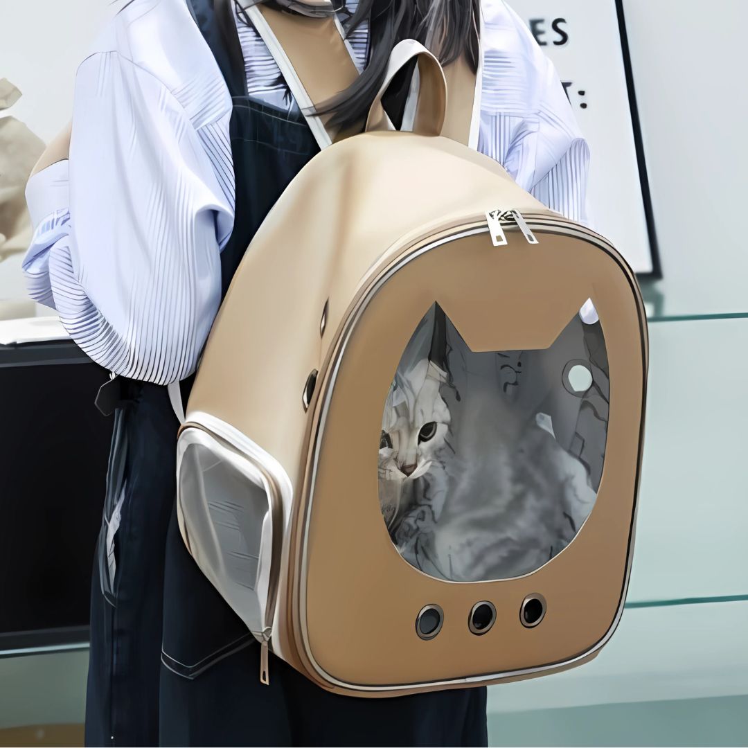 sac-de-transport-pour-chat-sac-a-dos