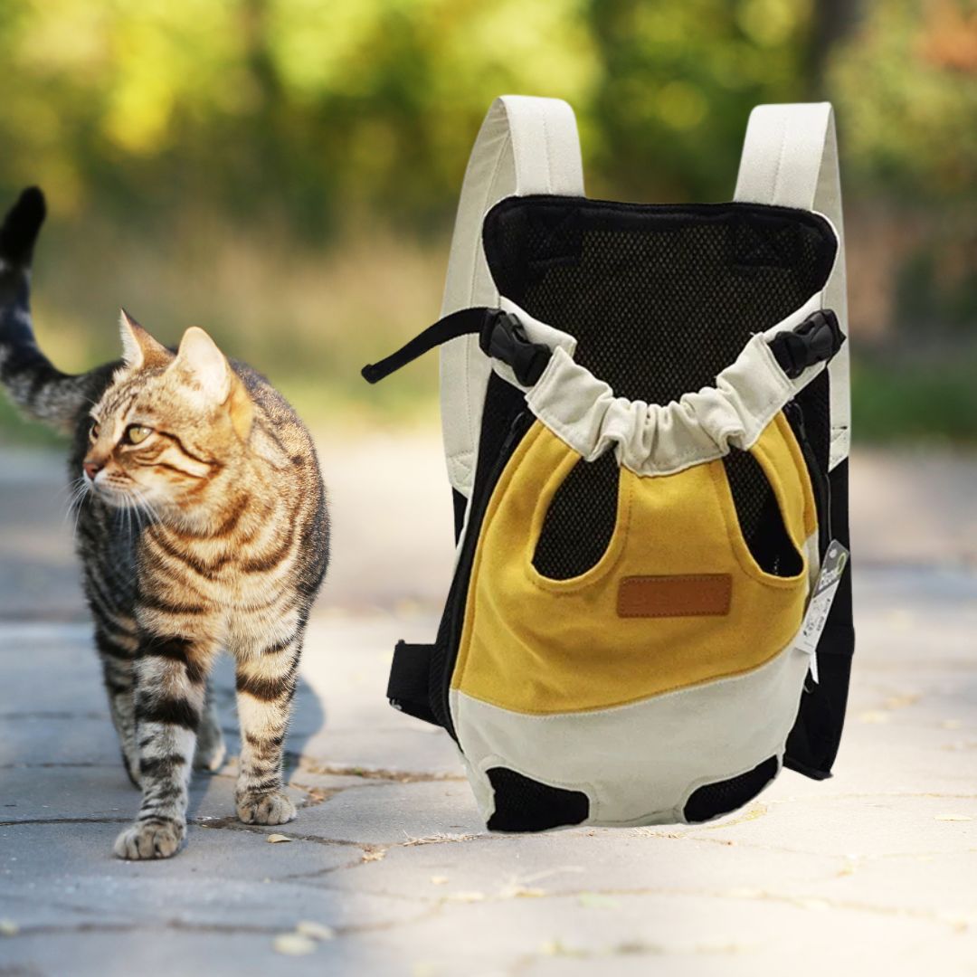 sac-transport-chat-blanc-jaune