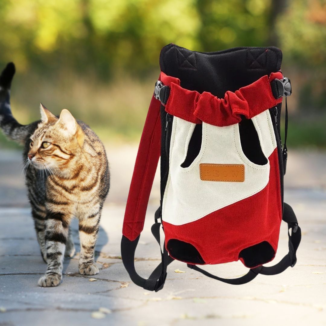 sac-transport-chat-blanc-rouge