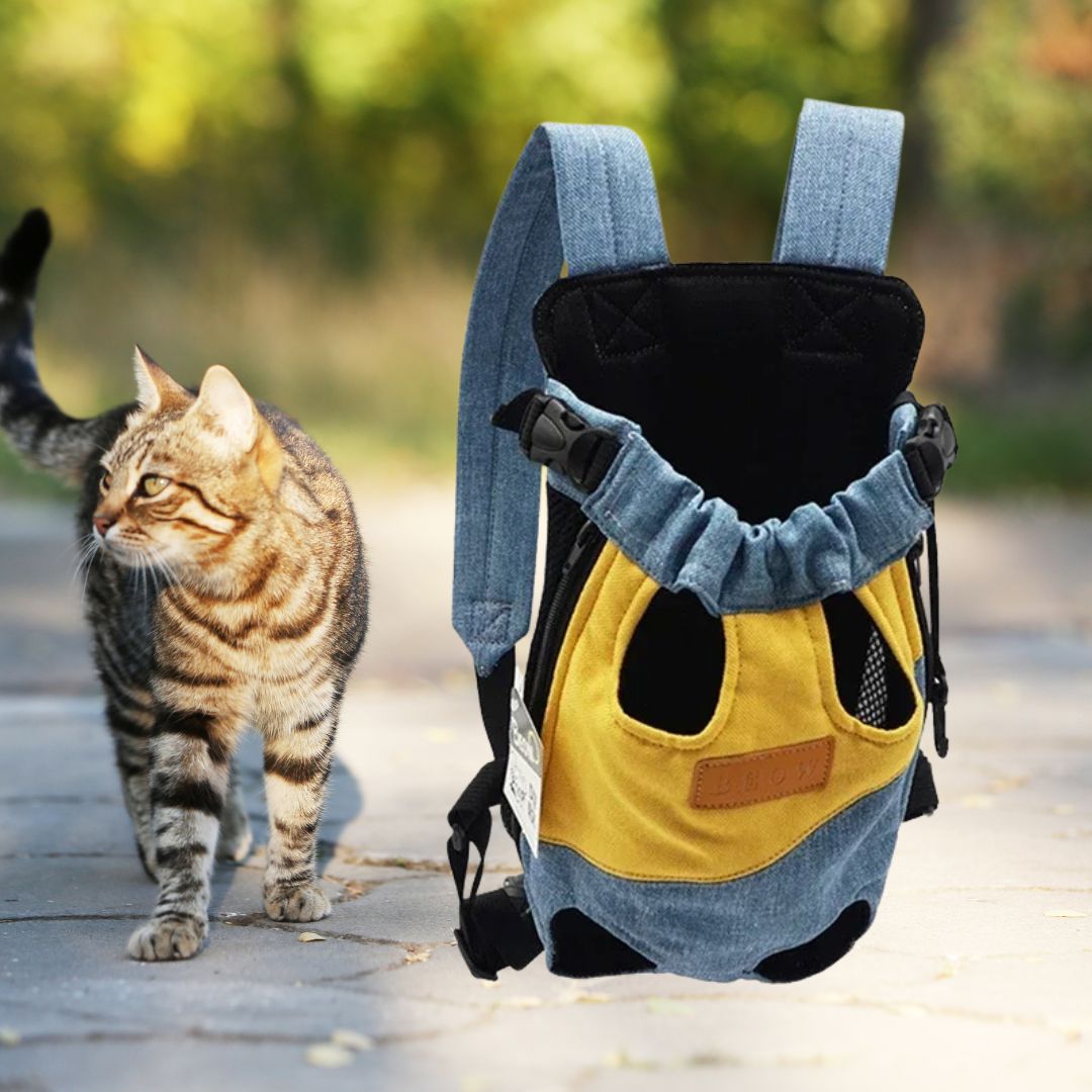 sac-transport-chat-bleu-jaune