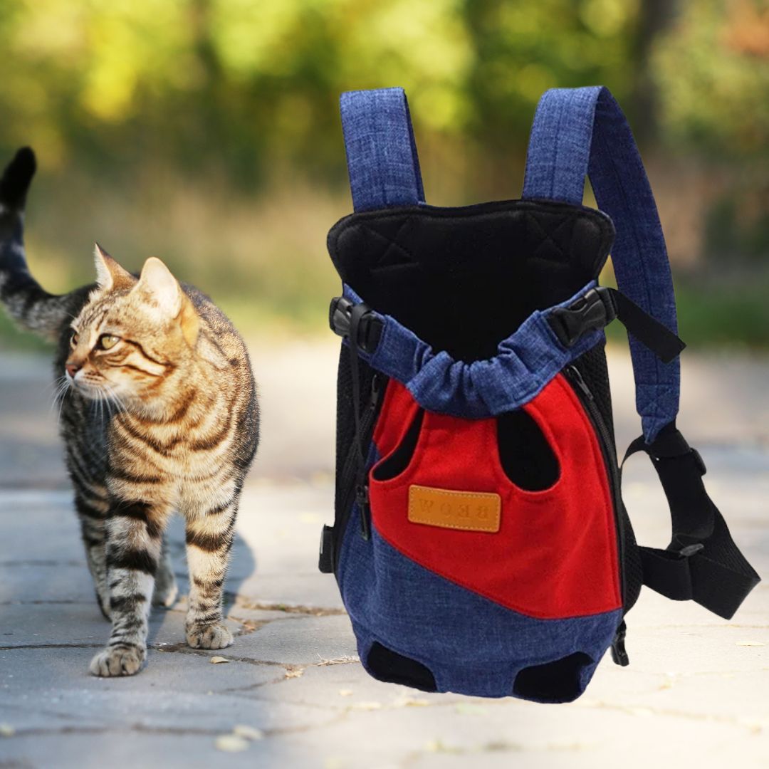 sac-transport-chat-bleu-rouge