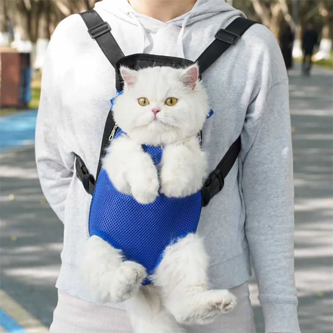 sac-transport-chat-bleu