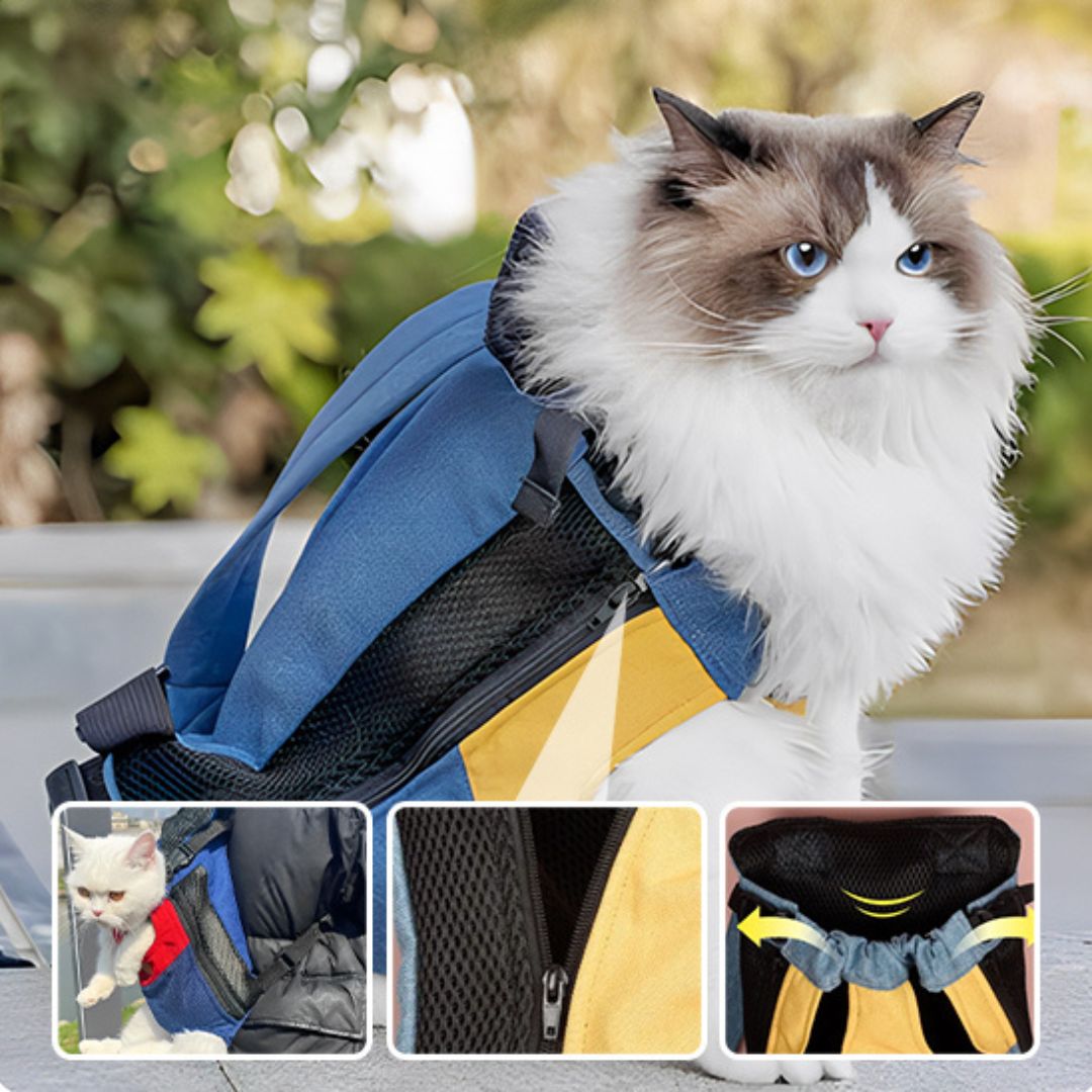 sac-transport-chat-caracteristique