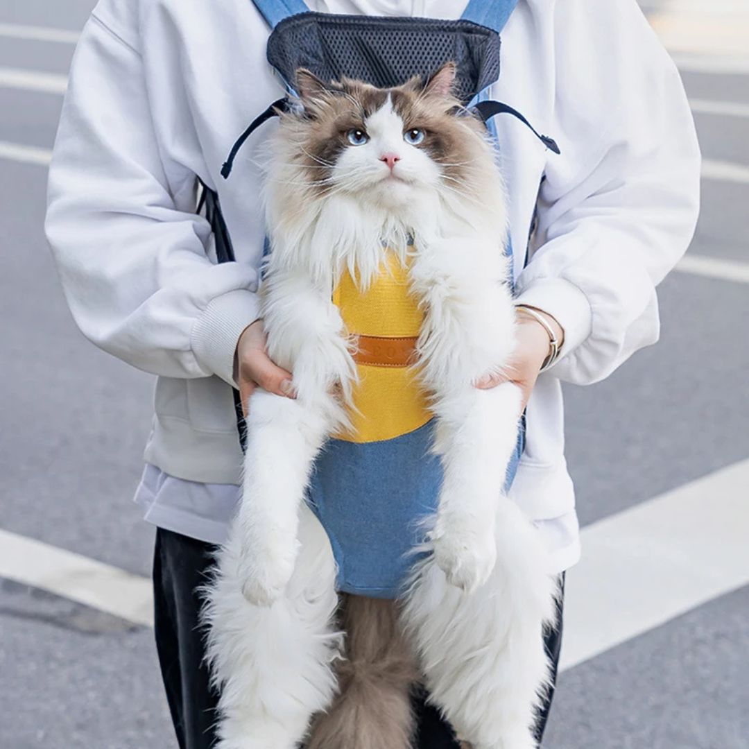 sac-transport-chat-complicite