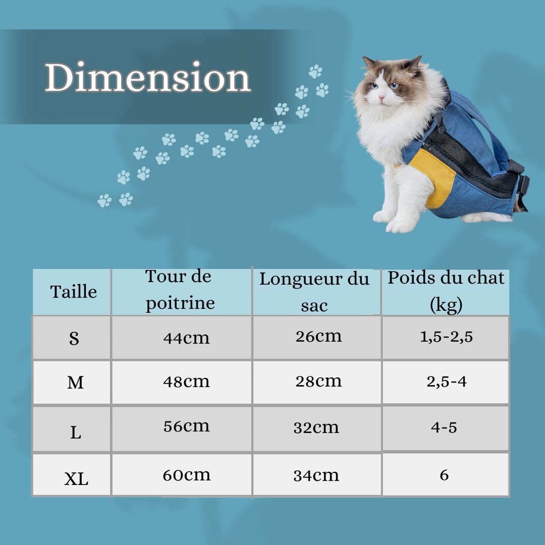 sac-transport-chat-dimensions