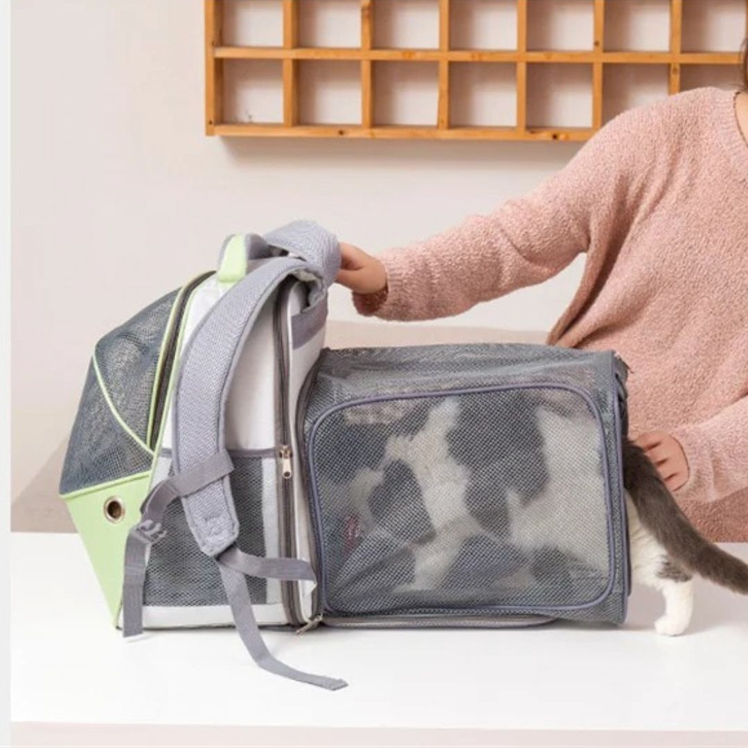 sac-transport-chat-entree