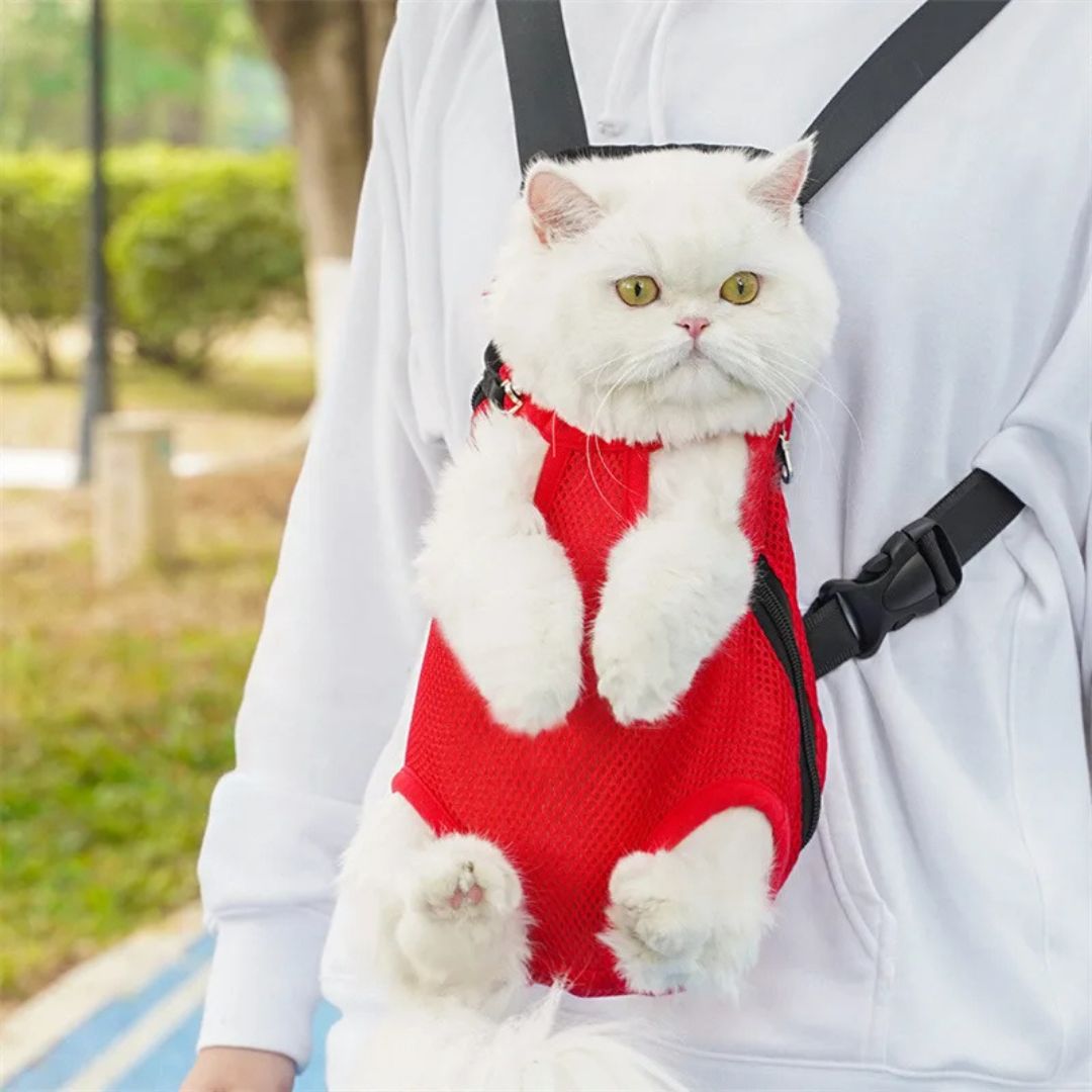 sac-transport-chat-rouge