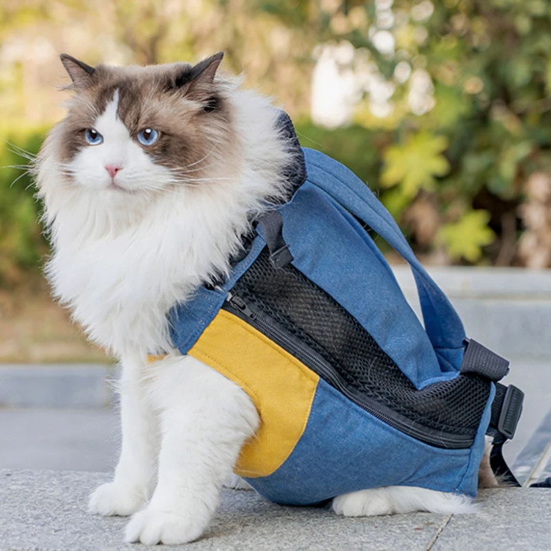 sac-transport-chat-vue_de_cote