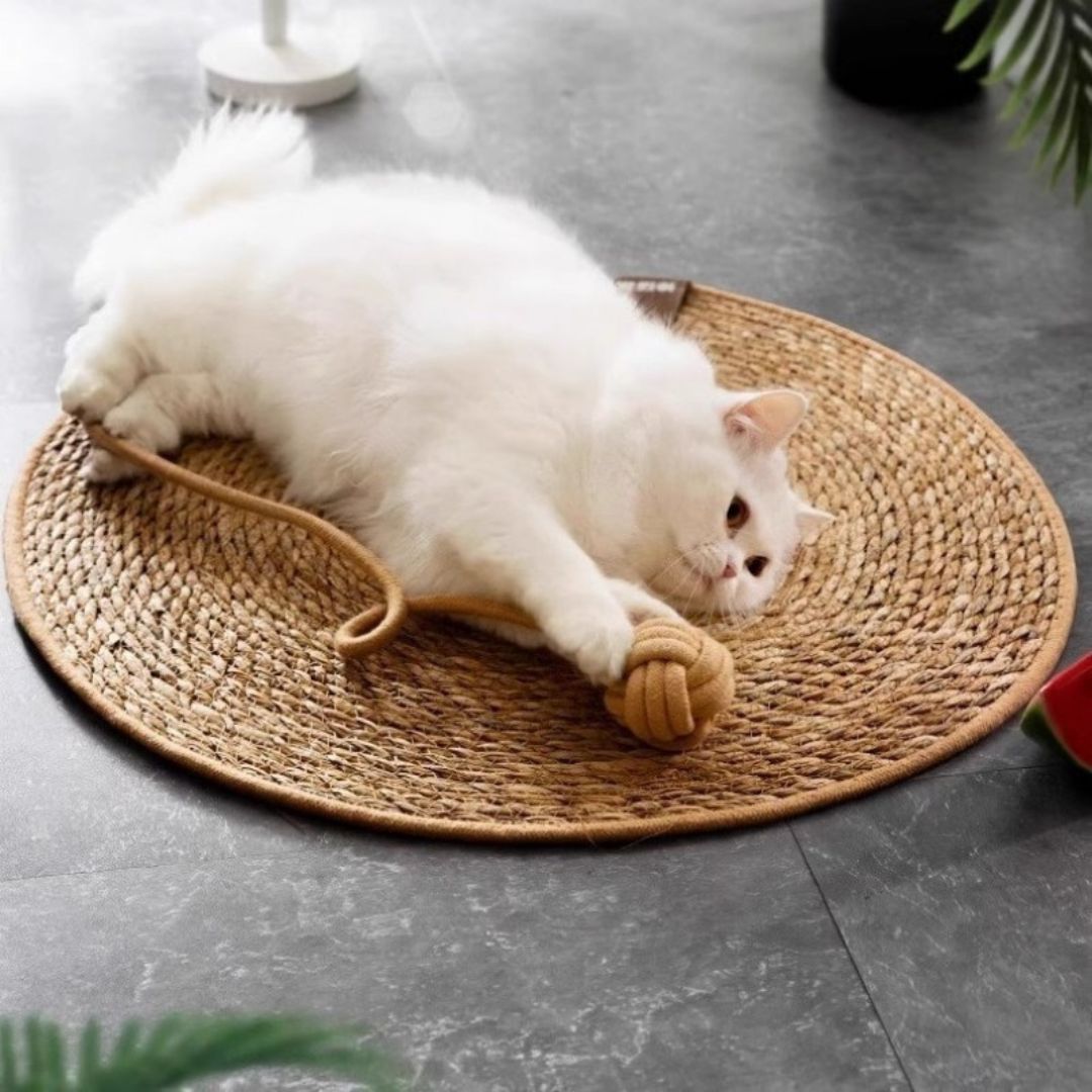 tapis-griffoir-chat-amusant