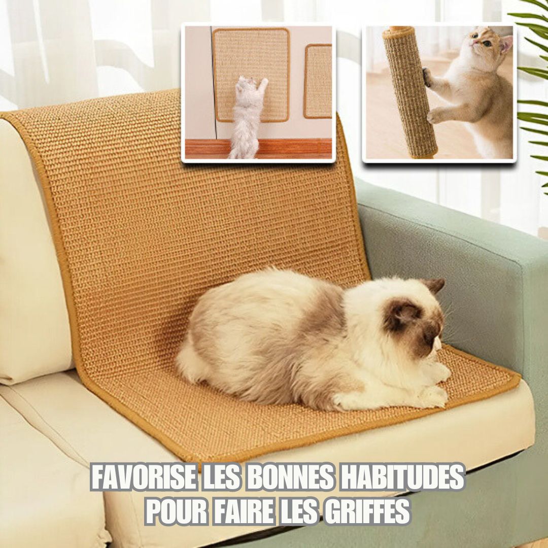 Tapis griffoir chat | GriffZen™