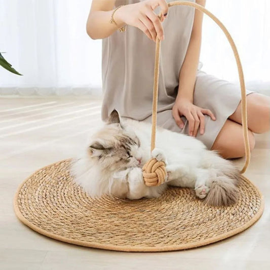  tapis-griffoir-chat-jeu