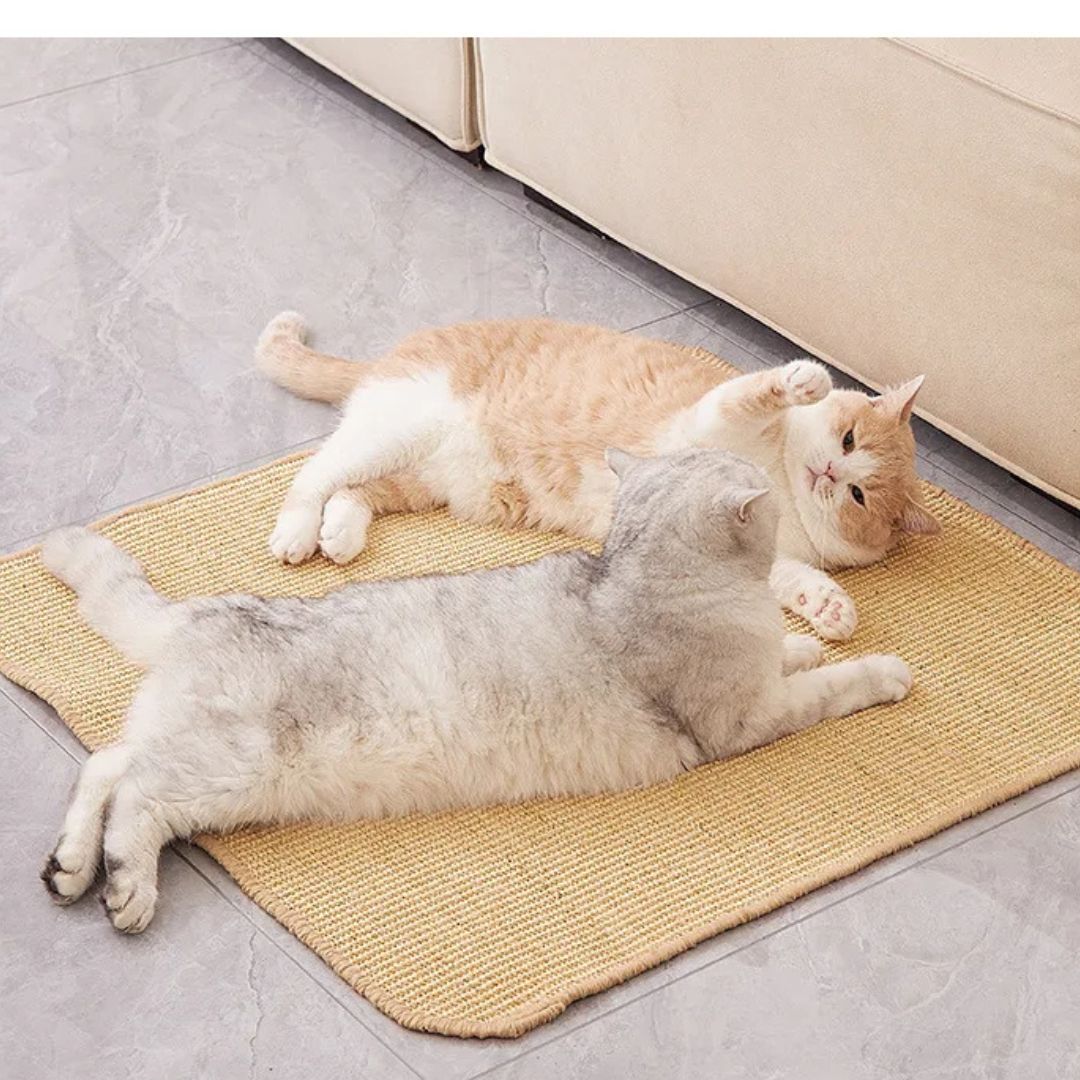 Tapis griffoir chat | GriffZen™