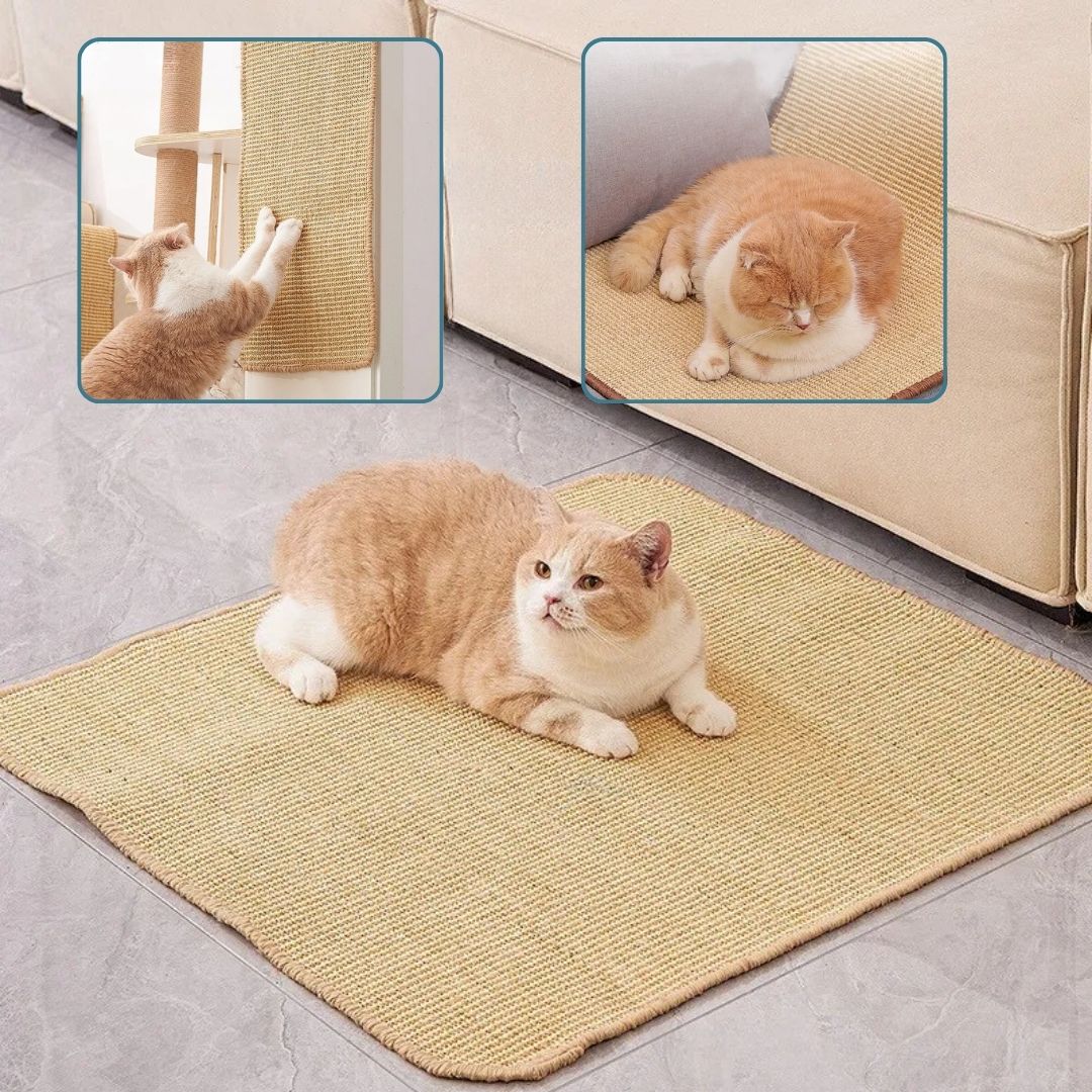 Tapis griffoir chat | GriffZen™