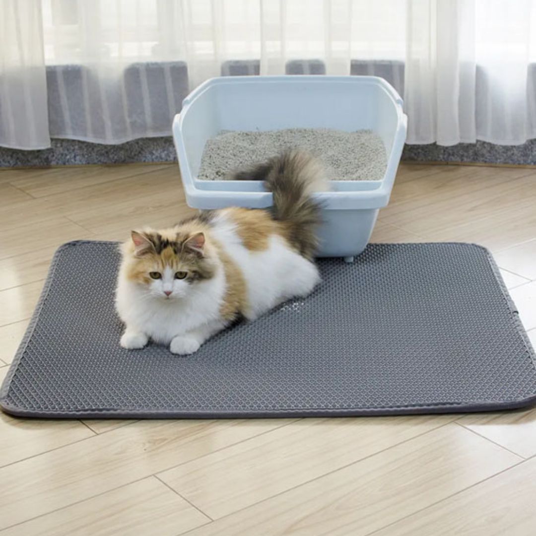 tapis-litiere-chat-coucher