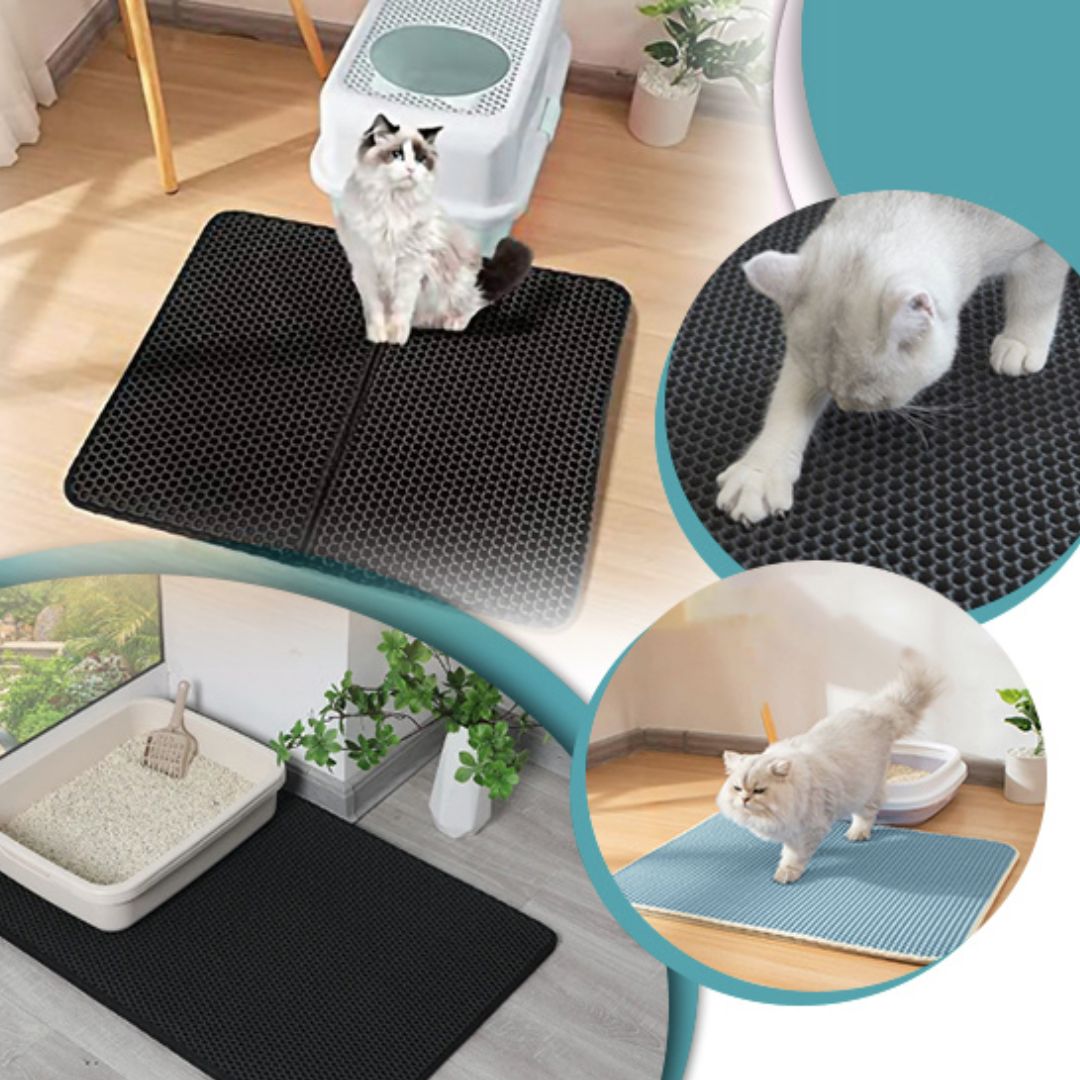 tapis-litière-chat-esthétique