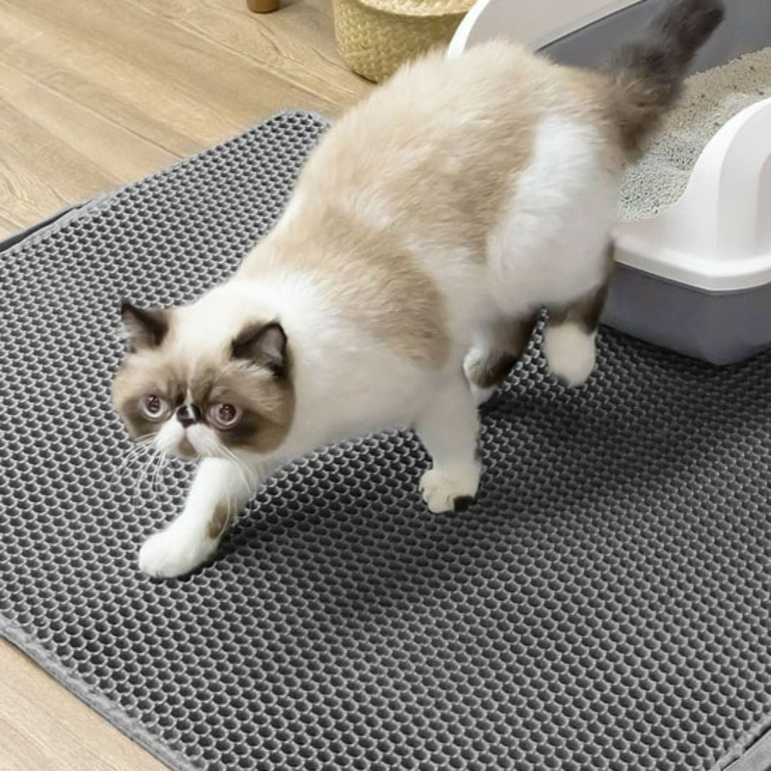 tapis-litiere-chat-gris-pale