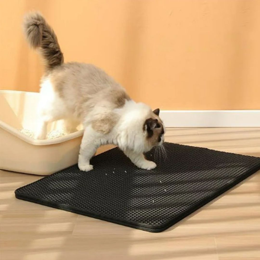 tapis-litiere-chat-noir-sortie