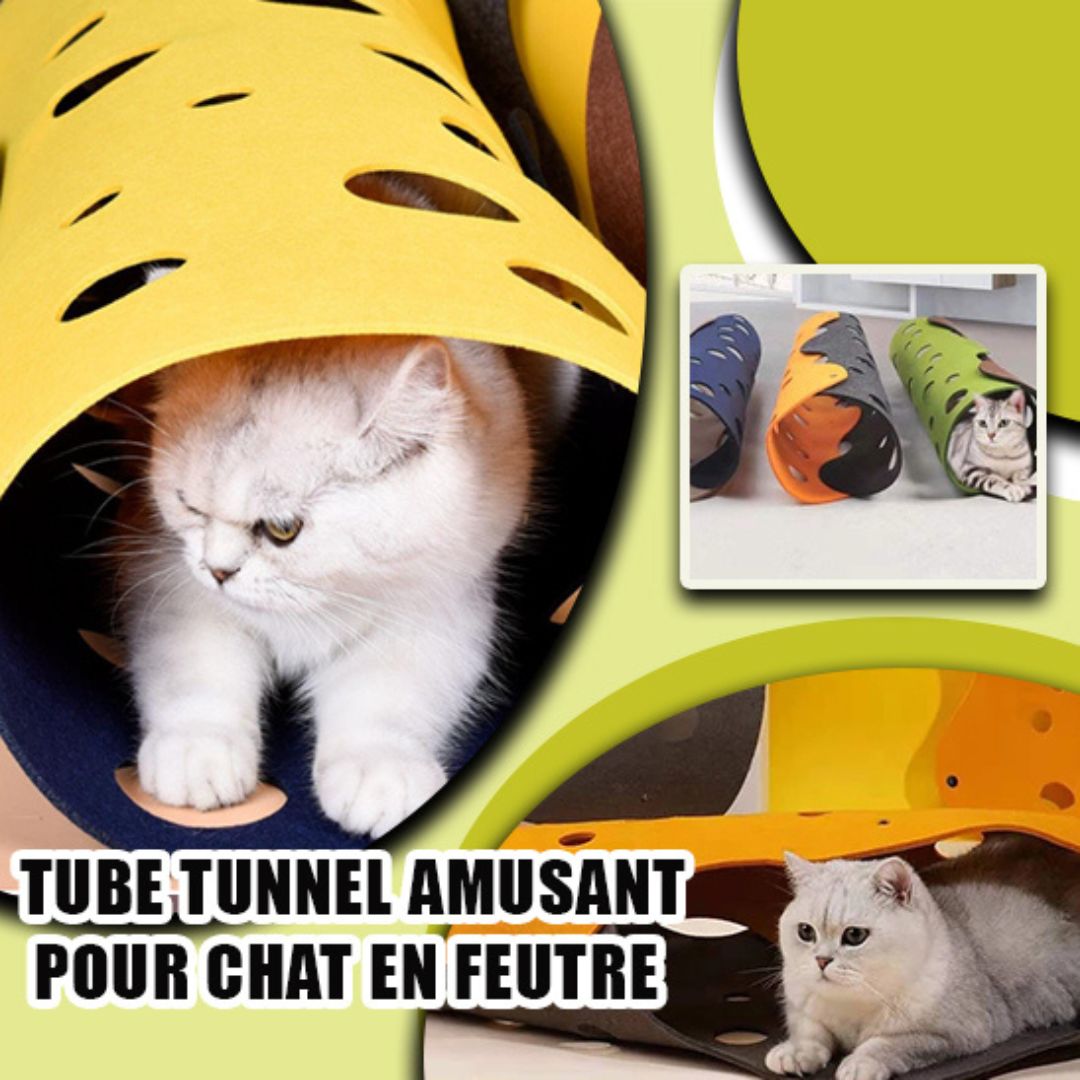 tunnel-chat-feutre