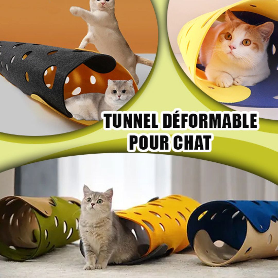 tunnel-chat-modulable