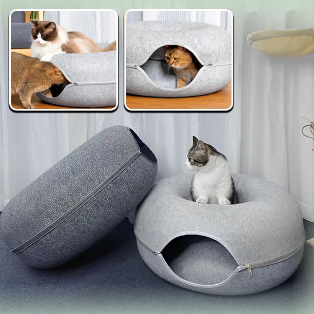 tunnel-pour-chat-amusant