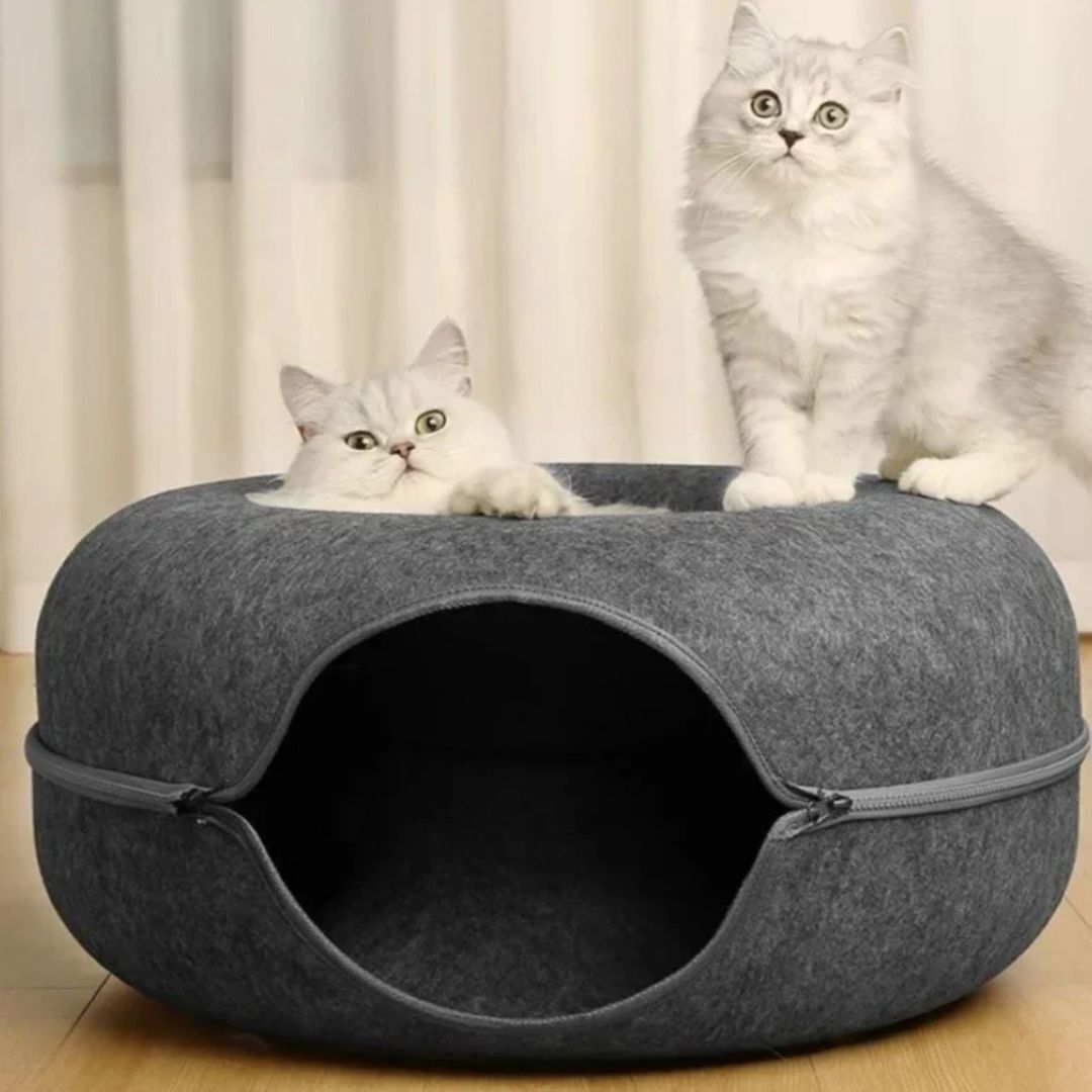 tunnel-pour-chat-confortable