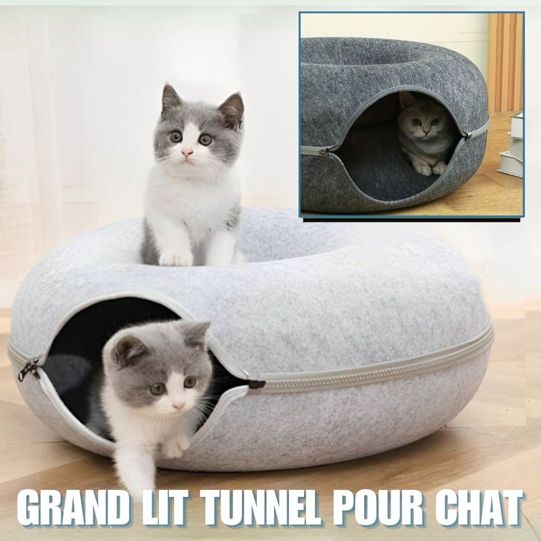 tunnel-pour-chat-lit