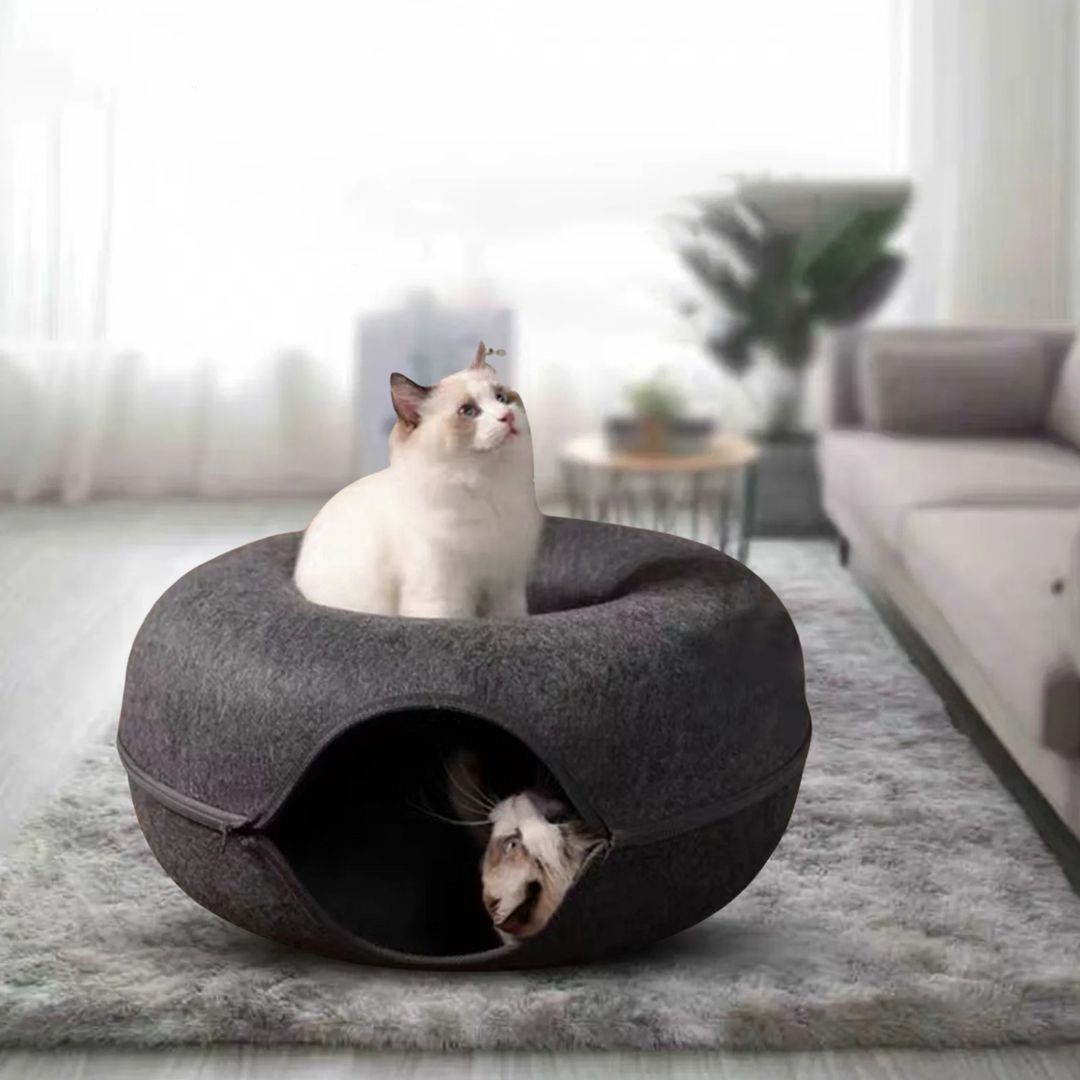 tunnel-pour-chat-noir